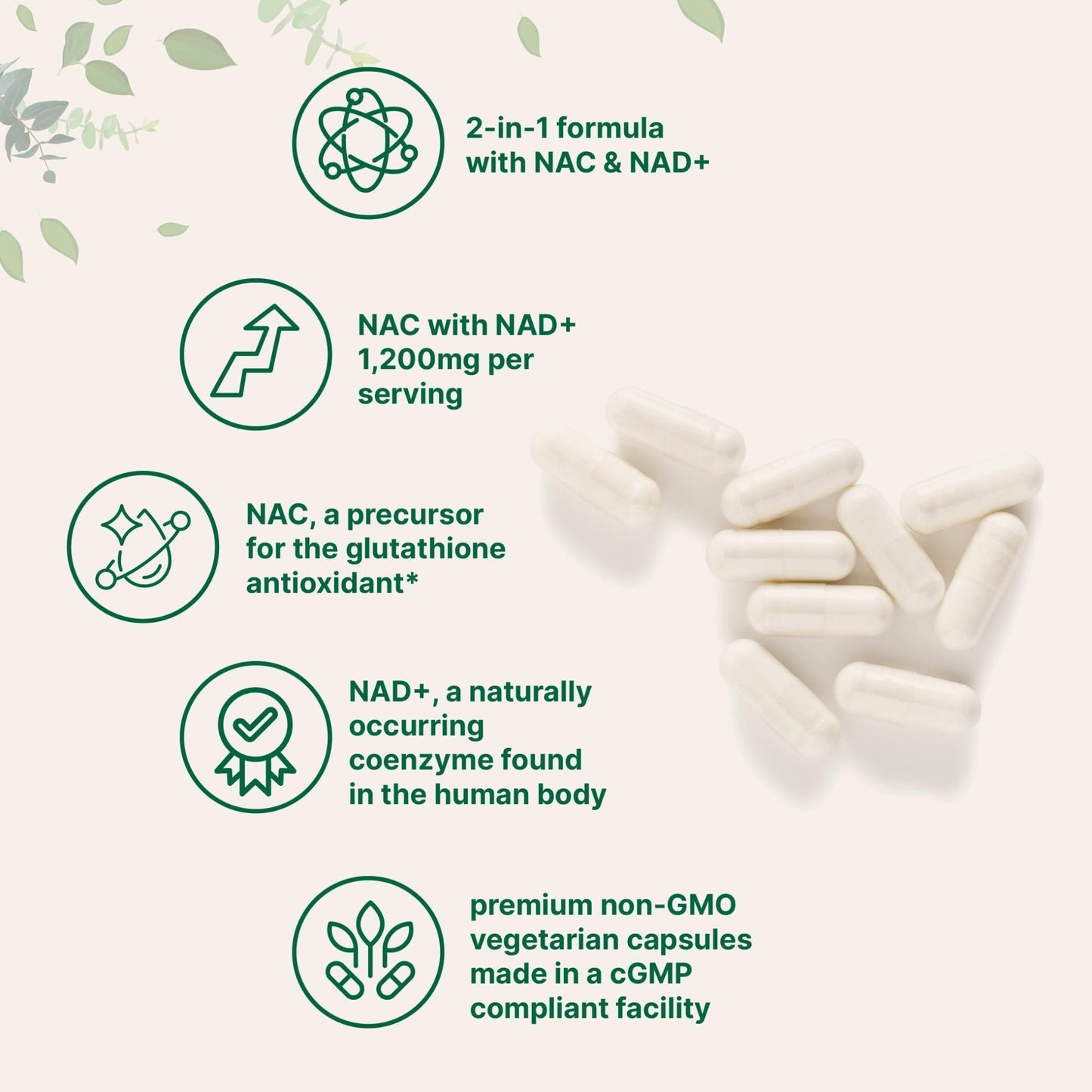 Micro Ingredients NAC with NAD+, 240 Vegetarian Capsules | 1,200 mg Per Serving | 2-in-1 N-Acetyl-L-Cysteine with Nicotinamide Adenine Dinucleotide - Maple Wellness Supplements