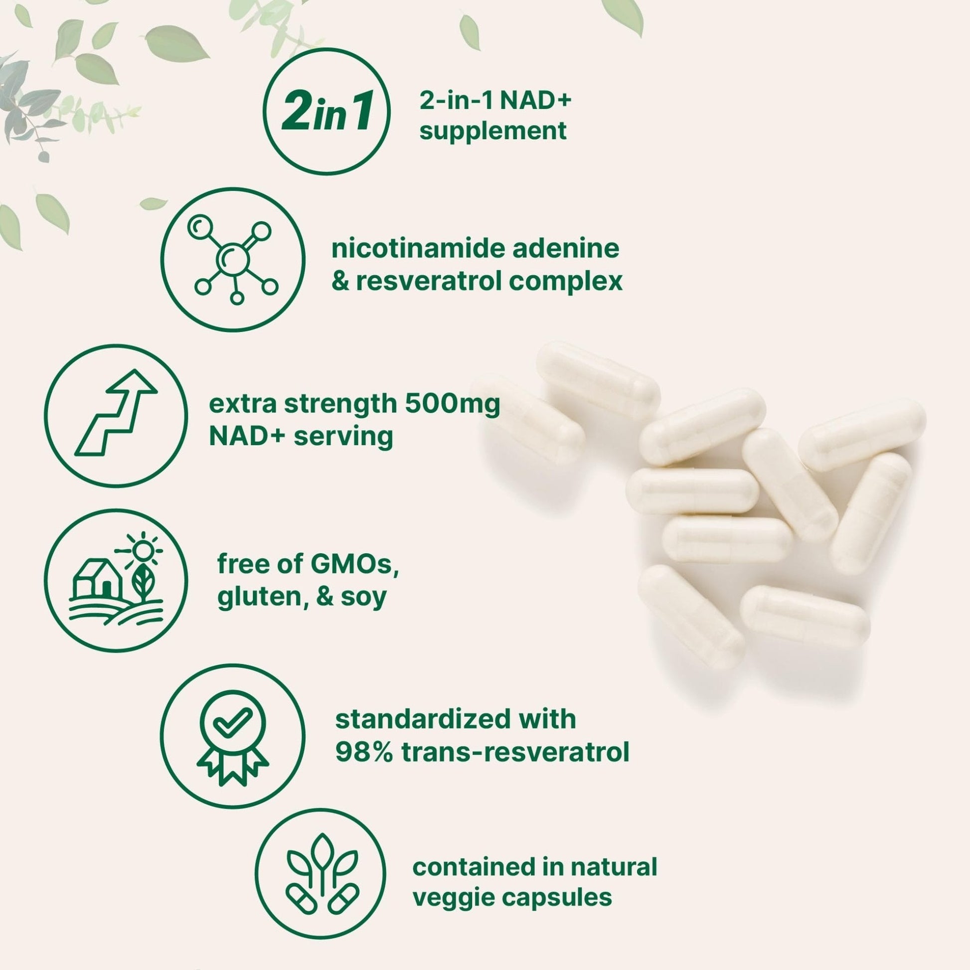 Micro Ingredients NAD+ 500mg with Resveratrol, 240 Veggie Capsules | 2-in-1 NAD Supplement for Women & Men | NMN Pathway Alternative | Non-GMO, Gluten Free - Maple Wellness Supplements