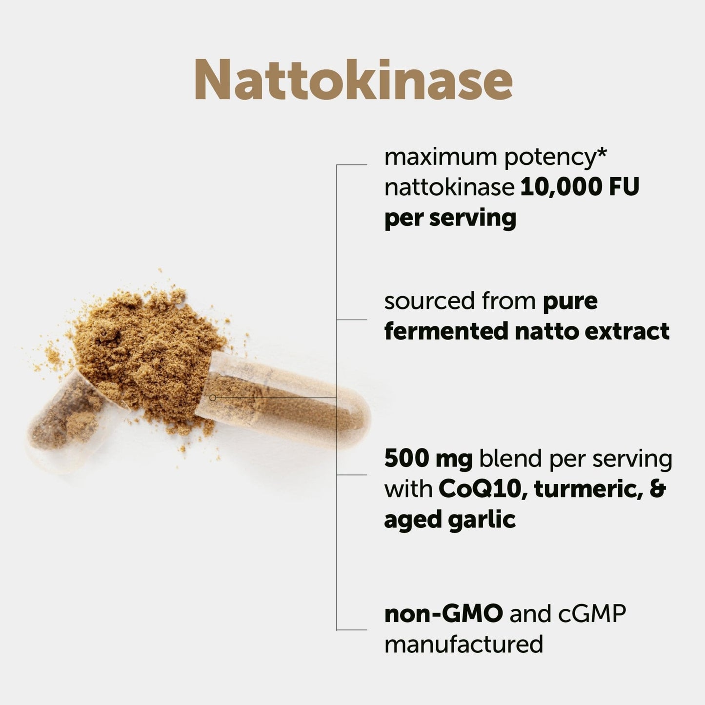 Micro Ingredients Nattokinase 10,000 FU Per Serving (Natural Natto Extract), 240 Vegetarian Capsules | with CoQ10, Turmeric, Aged Garlic & Pine Bark Extract - Maple Wellness Supplements