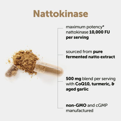Micro Ingredients Nattokinase 10,000 FU Per Serving (Natural Natto Extract), 240 Vegetarian Capsules | with CoQ10, Turmeric, Aged Garlic & Pine Bark Extract - Maple Wellness Supplements