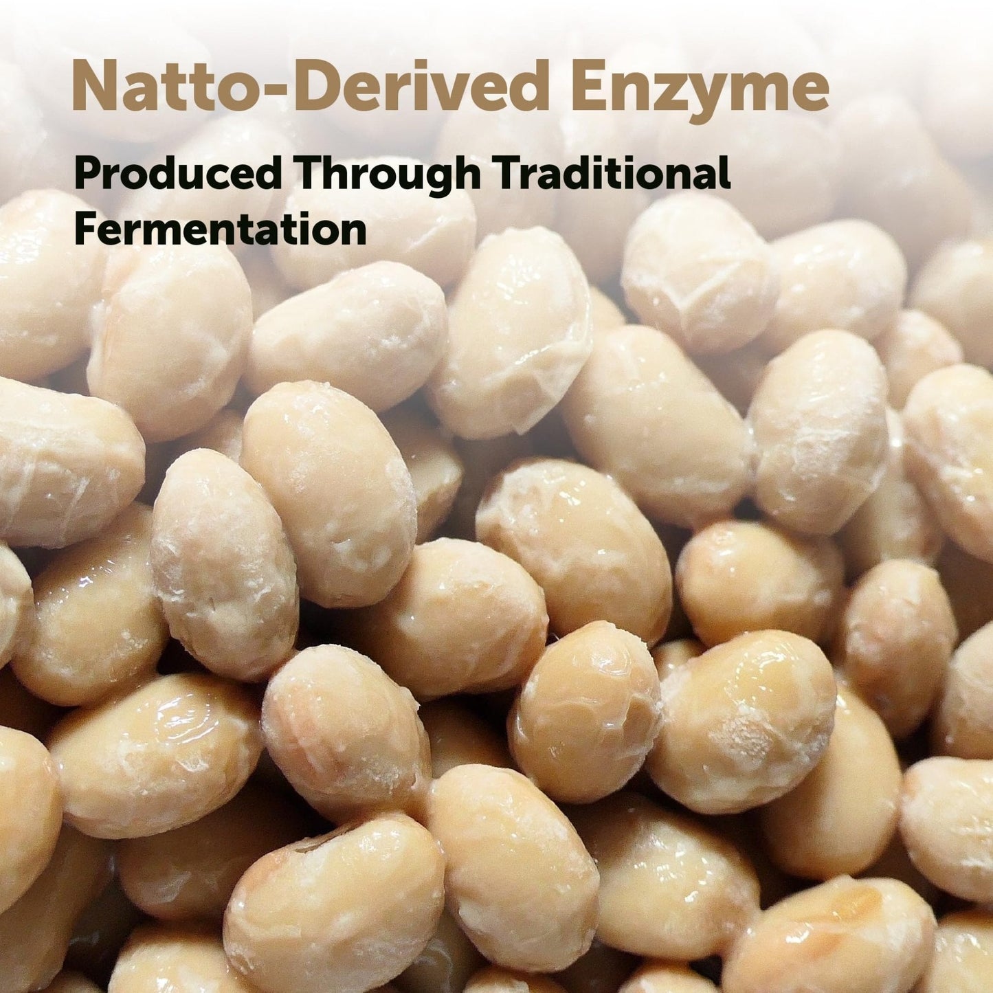 Micro Ingredients Nattokinase 10,000 FU Per Serving (Natural Natto Extract), 240 Vegetarian Capsules | with CoQ10, Turmeric, Aged Garlic & Pine Bark Extract - Maple Wellness Supplements