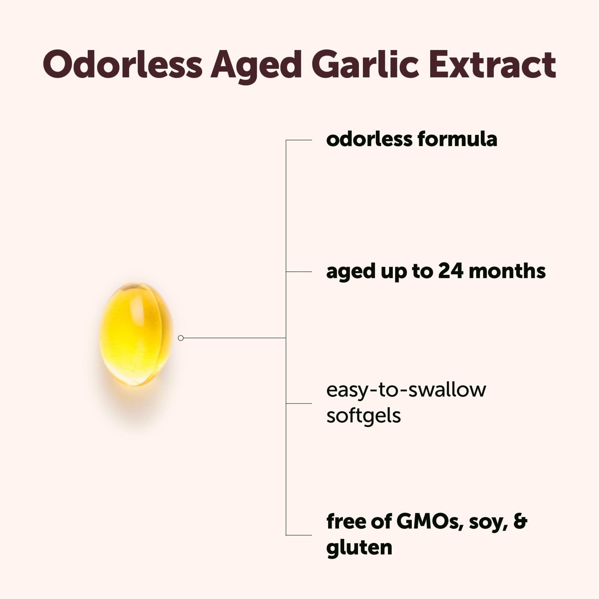 Micro Ingredients Odorless Garlic, 300 Softgels | 2 Years Aged Garlic Extract | Grown Allium Sativum Bulb - Maple Wellness Supplements