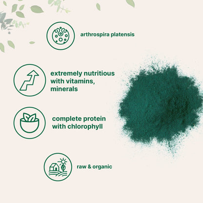 Micro Ingredients Organic Spirulina Powder, 1lb | Blue-Green Algae, Rich in Vegan Protein, Vitamins & Minerals | Source of Natural Chlorophyll & Enzymes - Maple Wellness Supplements
