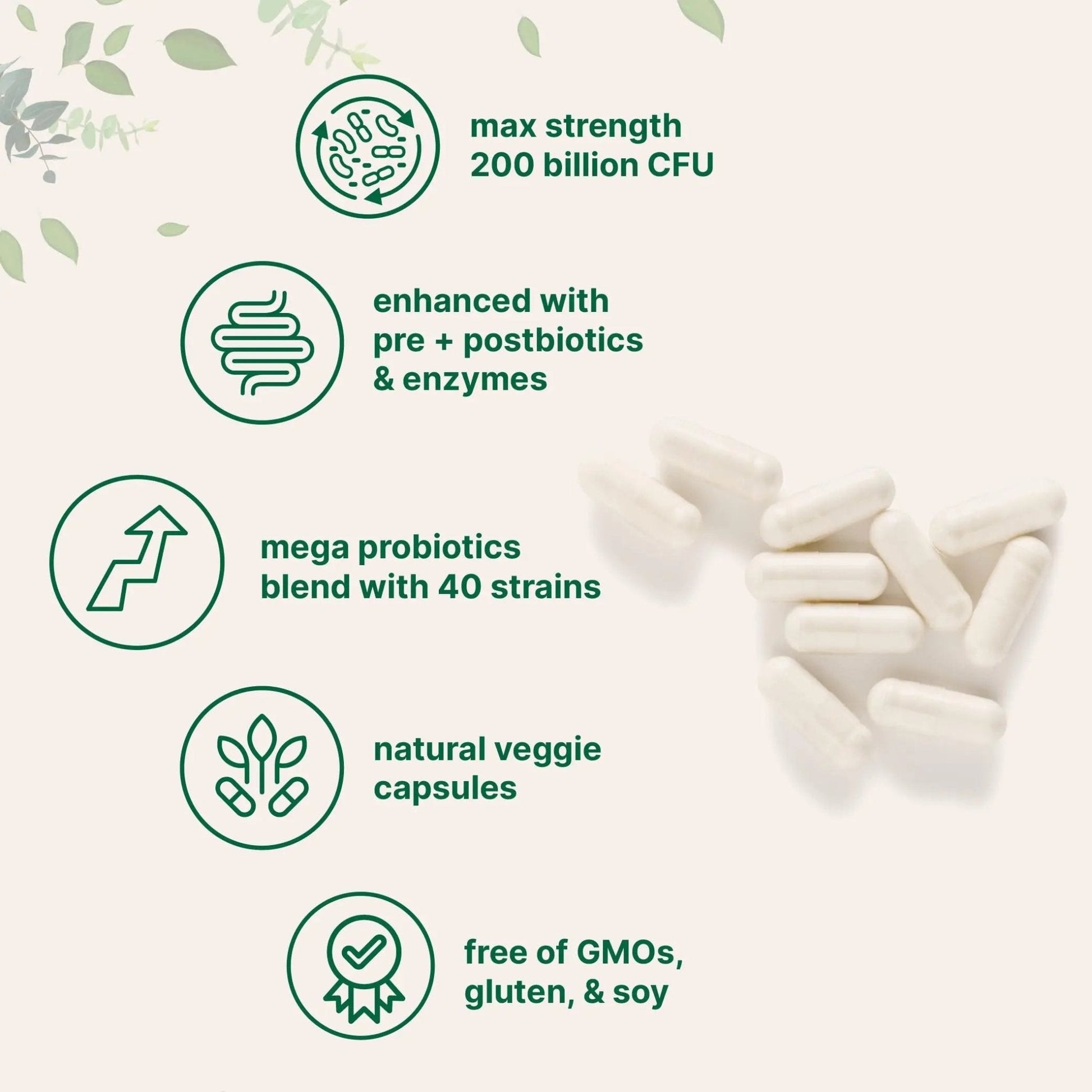 Micro Ingredients Probiotics 200 Billion CFU, 120 Veggie Capsules | Mega Probiotics for Men & Women | 40 Strains with Prebiotics, Postbiotics & Digestive Enzymes | Gut, Immune & Digestive Health - Maple Wellness Supplements