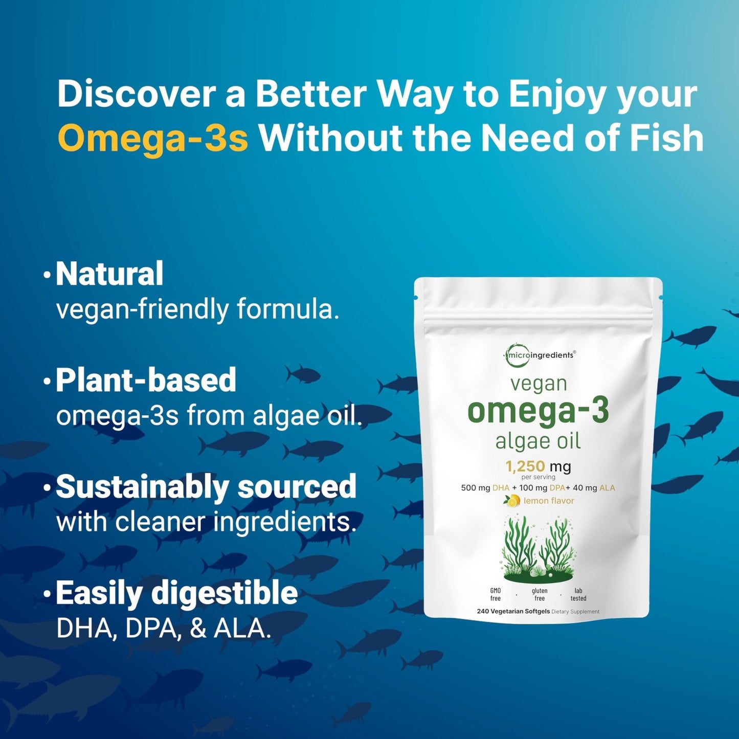 Micro Ingredients Vegan Omega 3 Algae Oil, 240 Veggie Softgels | Fish Oil Alternative | DHA 500mg & DPA 100mg | Carrageenan Free | Plant-Based Omega 3 - Maple Wellness Supplements
