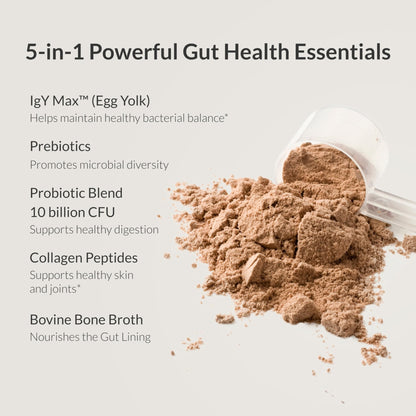 Microbiome Breakthrough Gut Support Powder Chocolate Flavor With Lactobacillus Strains, Bone Broth & Collagen Source of L-Glutamine Supports Digestive Comfort, Gas & Bloating Relief 30 Servings* - Maple Wellness Supplements