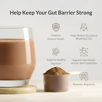 Microbiome Breakthrough Gut Support Powder Chocolate Flavor With Lactobacillus Strains, Bone Broth & Collagen Source of L-Glutamine Supports Digestive Comfort, Gas & Bloating Relief 30 Servings* - Maple Wellness Supplements