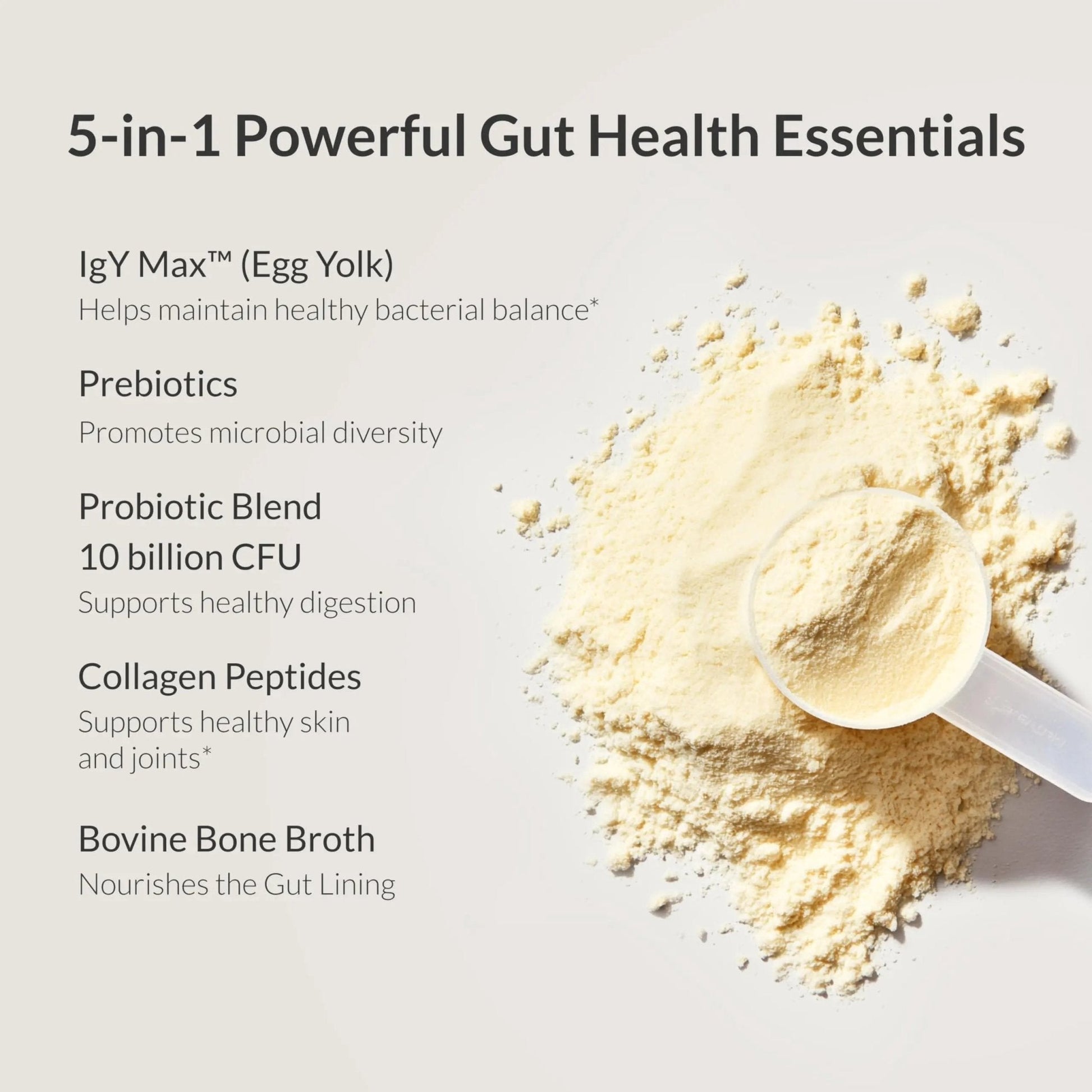 Microbiome Breakthrough™ Gut Support Powder – Vegetarian Vanilla – With Probiotics, Prebiotics, and IgY Max® – Source of L-Glutamine – Supports Digestive Comfort, Gas & Bloating Relief 30 Servings* - Maple Wellness Supplements