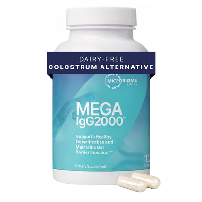 Microbiome Labs Mega IgG2000 Capsules - Dairy Free Bovine Colostrum Supplement Alternative - Immunoglobulin Supplement from Bovine Serum to Support Digestive Health (120 Capsules) - Maple Wellness Supplements