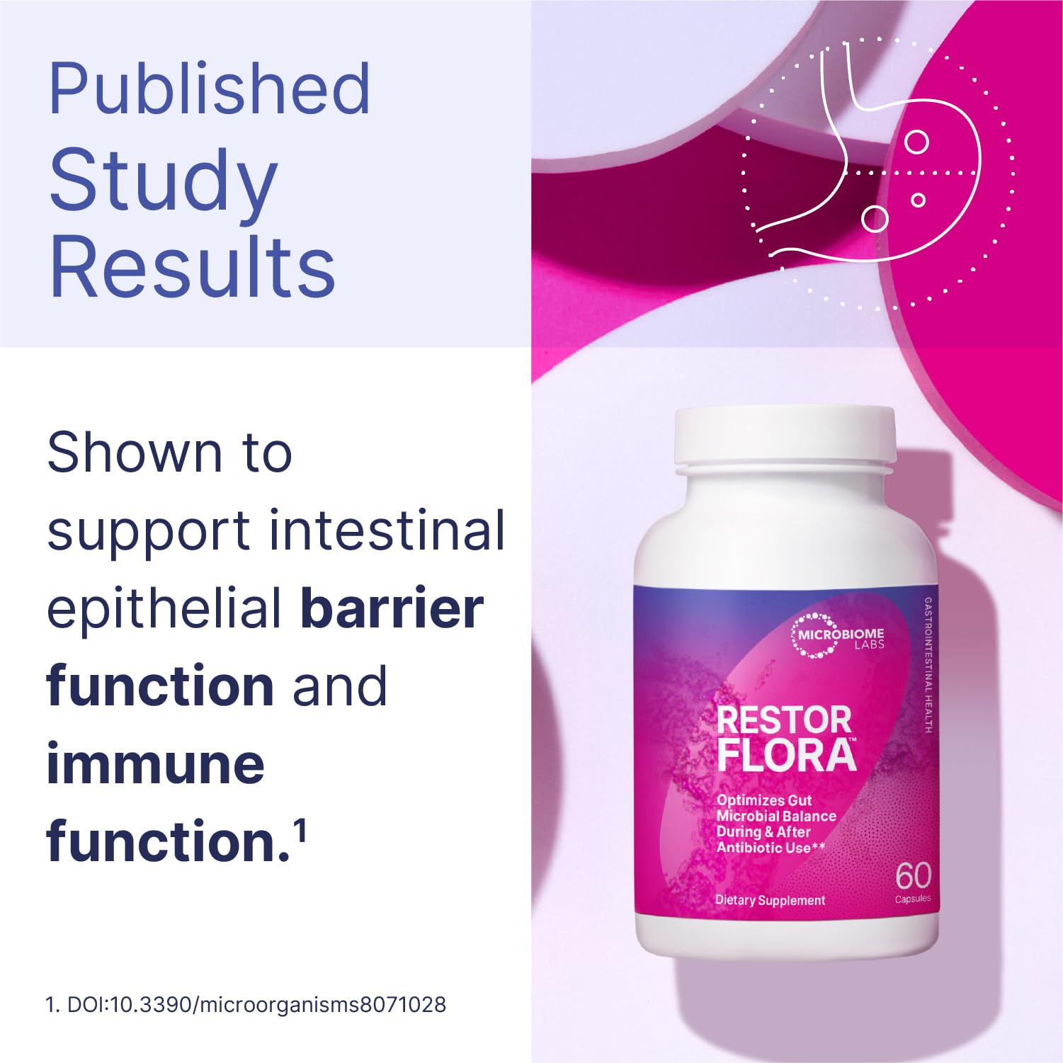 Microbiome Labs Restorflora Probiotics for Digestive Health - Gut Health Supplements with Dual Action Probiotics for Women & Men - Maple Wellness Supplements