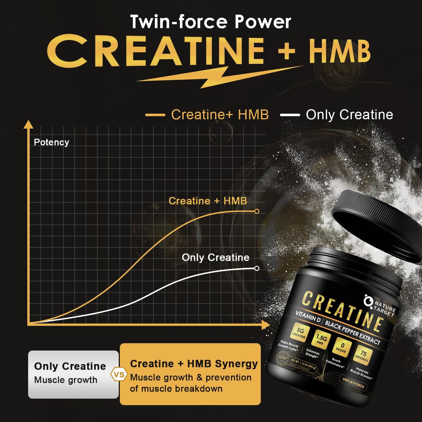 Micronized Creatine Monohydrate for Women and Men, Creatine Powder for Men-Women for Improve Performance and Strength, Support Muscle Growth and Workout Recovery, 6.5g per Servings, 75 Servings - Maple Wellness Supplements
