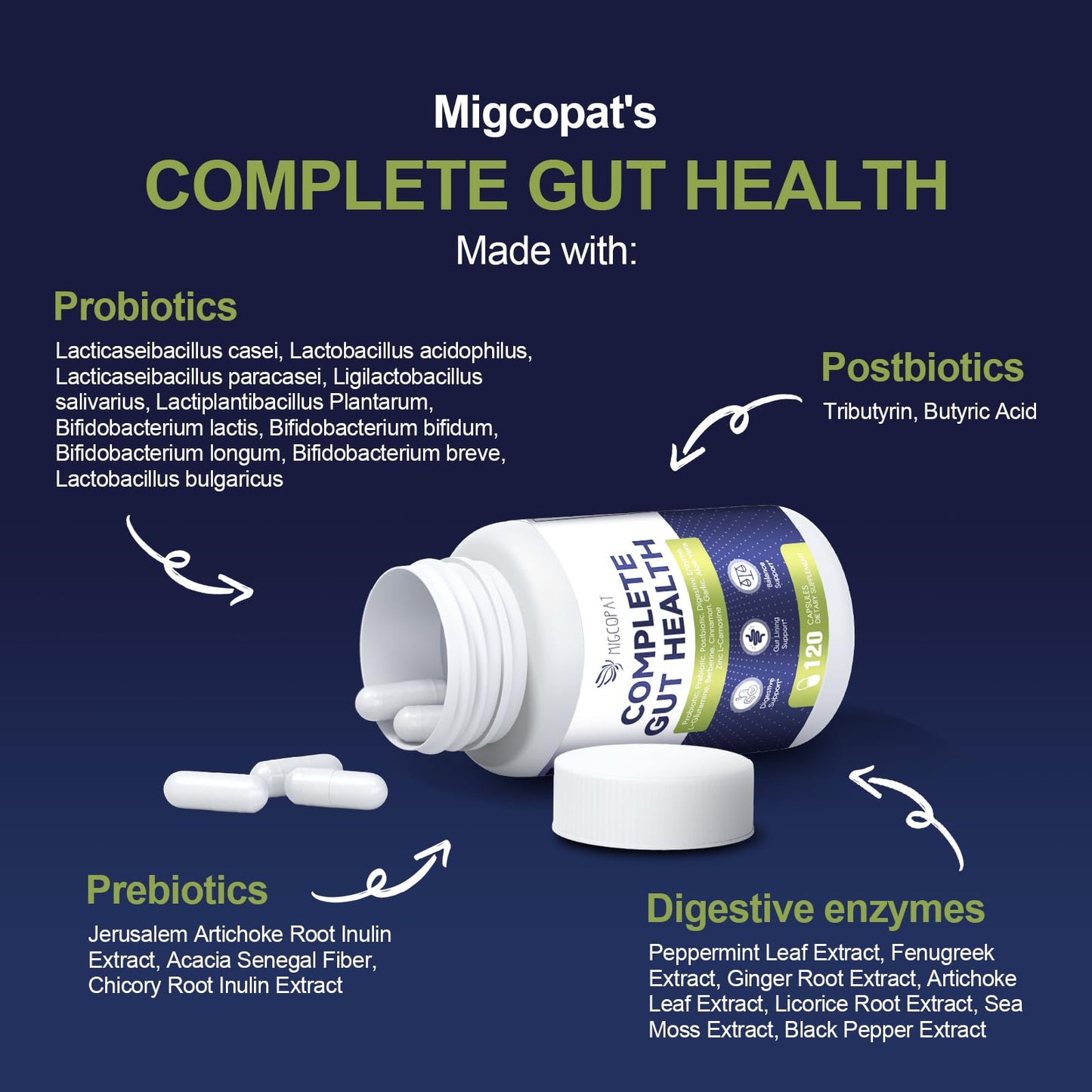 Migcopat Probiotic Prebiotic, Postbiotic & Digestive Enzymes for Digestive Health, 80 Billion CFU Probiotics Complete Gut Support with Berberine, Cinnamon, L-Glutamine - Maple Wellness Supplements