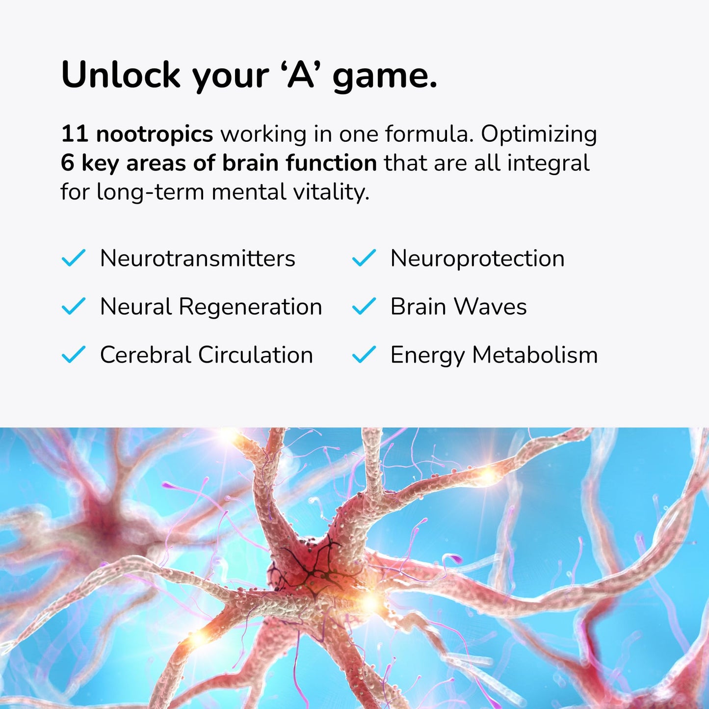 Mind Lab Pro® MLP® v4 Universal Booster Supplement for Focus, Memory, Clarity, Energy - 60-Count - Plant-Based, Naturally Sourced Memory Vitamins - Maple Wellness Supplements