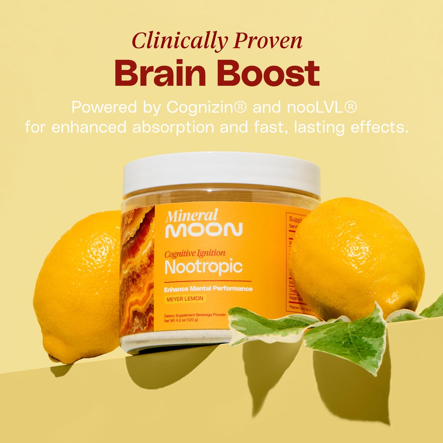 Mineral Moon Premium Cognitive Ignition Nootropic Powder - Brain Supplements For Memory & Focus - Sage Extract, B Vitamins,Cognizine Citicoline& nooLVL - Supports Mental Clarity - No Caffeine or Sugar - Maple Wellness Supplements