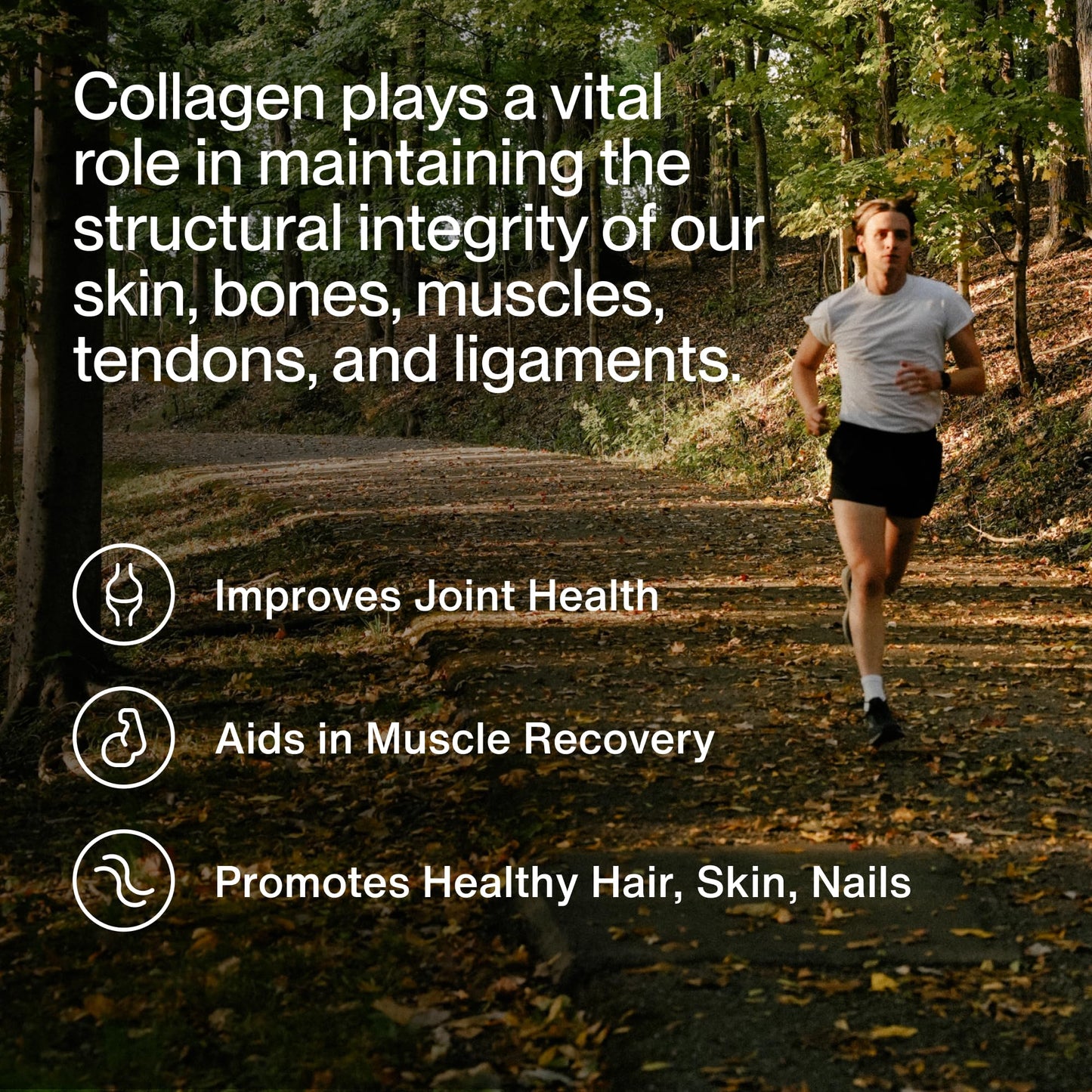 Momentous Grass-Fed Collagen Peptides Powder - Collagen Protein Powder with Fortigel & Vitamin C for Hair, Skin, Nails, & Joint Health Support - Maple Wellness Supplements