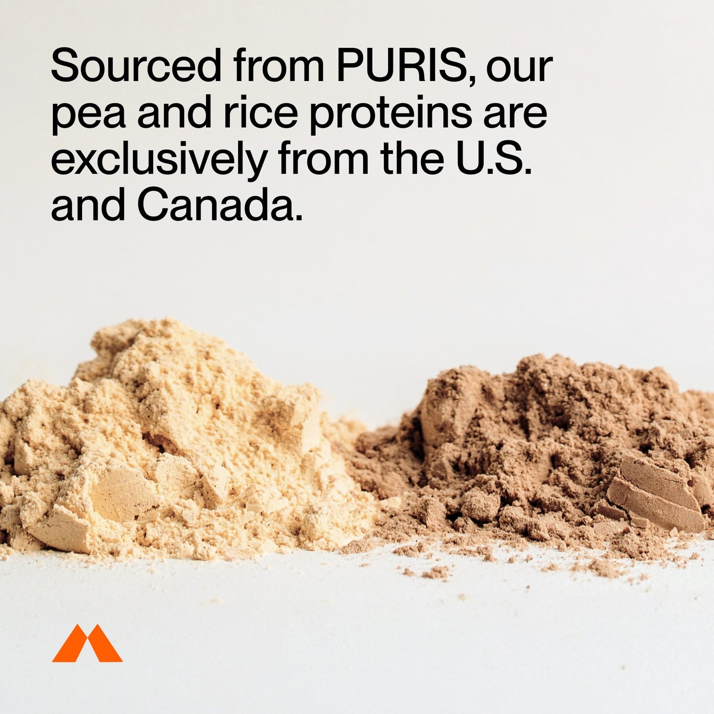 Momentous Vegan Protein Powder - 20 g Plant-Based Protein - NSF Certified for Sport - Gluten-Free - Non-GMO - 22 Servings for Essential Everyday Use - Chocolate - Maple Wellness Supplements