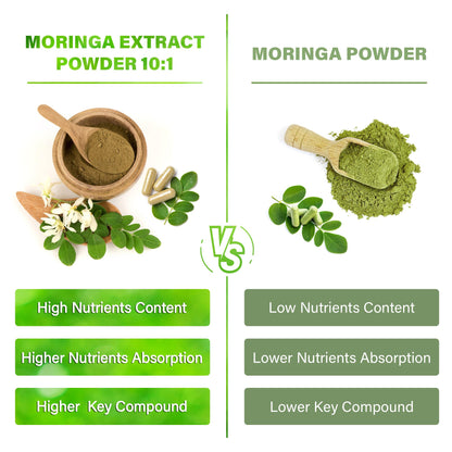 Moringa Capsules| Moringa Oleifera |10,000mg| 300 Capsules| 100% Pure| Non-GMO - Maple Wellness Supplements