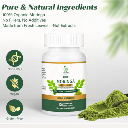 Moringa Capsules, Moringa Pure Capsules For Energy, Immune Support, Gut Health & Powerful Green Superfood, Rich In Antioxidants, Essential Vitamins & Amino Acids - Maple Wellness Supplements