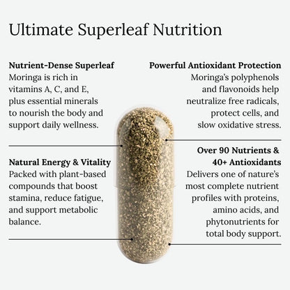 Moringa Oleifera Capsules 800mg - Pure Leaf Powder Superfood with Antioxidants Vitamins Minerals Amino Acids - Energy Immune Support Green Supplement for Men Women - Maple Wellness Supplements