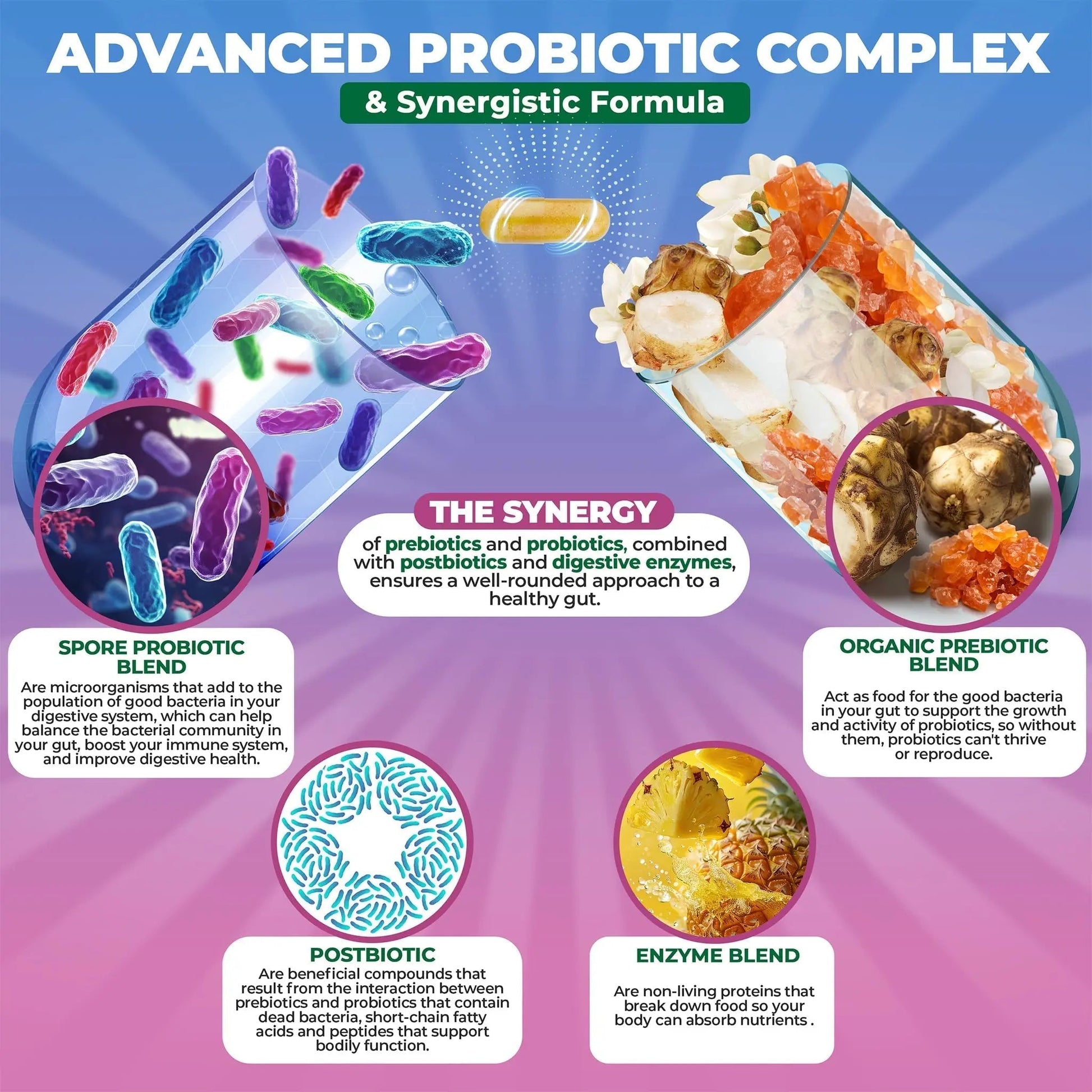 MoxyVites Spore Probiotic Complex - All In One Prebiotics and Probiotics for Digestive Health, Postbiotic, Digestive Enzymes Daily Supplement - Spore Based Probiotic for Women & Men - Maple Wellness Supplements