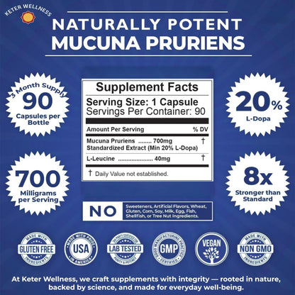 Mucuna Pruriens 20% L-Dopa – Standardized Velvet Bean Extract for Natural Dopamine, Focus & Mood Support – Pure 8:1 Concentrated Herbal Supplement – Vegan, Non-GMO, 90 Capsules - Maple Wellness Supplements