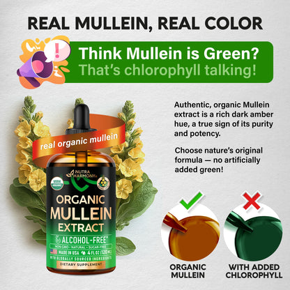 Mullein Drops for Lungs - USDA Organic Liquid - Mullein Leaf Extract Supplement - Made in USA - Lung & Bronchial Cleanse for Smokers - Respiratory Health Support - Maple Wellness Supplements
