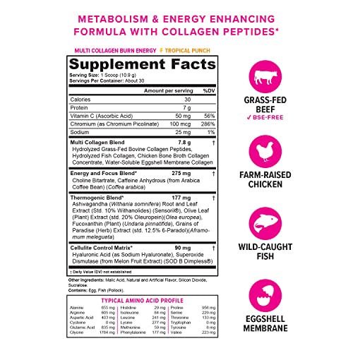 Multi Collagen Burn: Multi-Type Hydrolyzed Protein Peptides with Hyaluronic Acid, Vitamin - Maple Wellness Supplements