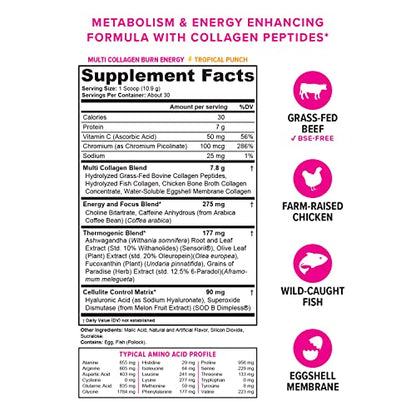 Multi Collagen Burn: Multi-Type Hydrolyzed Protein Peptides with Hyaluronic Acid, Vitamin - Maple Wellness Supplements