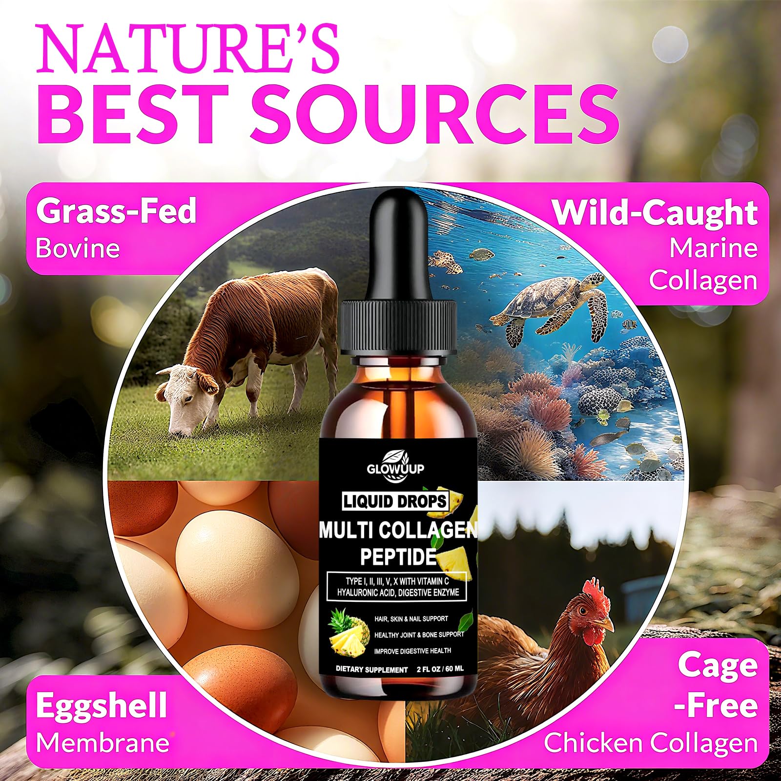 Multi Collagen Peptides Liquid Drops for Women & Men-Type I, II, III, V, X丨Hydrolyzed Collagen Peptides, Collagen Proteins W. Hyaluronic Acid, Biotin & Vitamin C for Hair Skin & Joint Gut Health - Maple Wellness Supplements