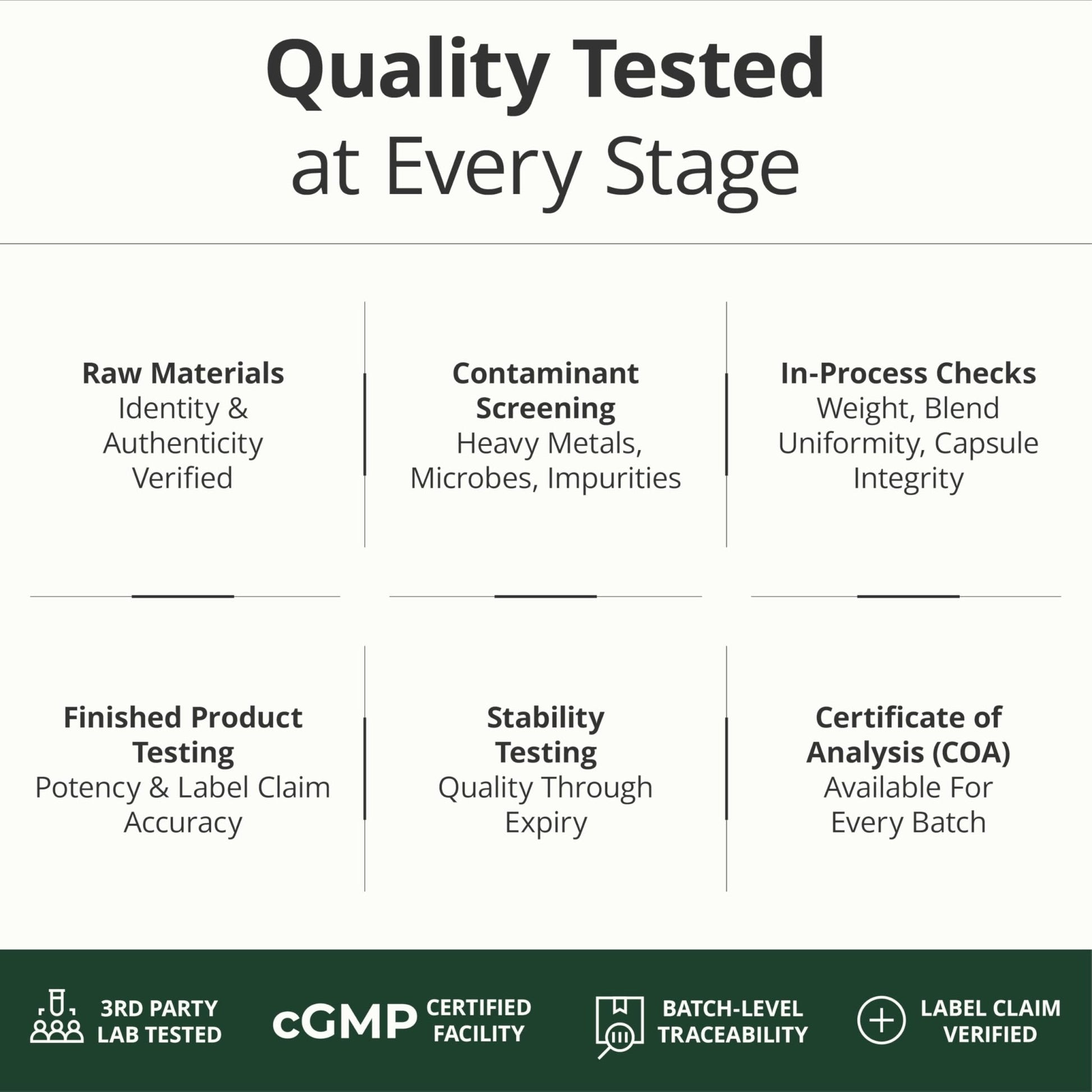 Multivitamin for Men with Methylated Vitamins and Chelated Minerals for Energy, Focus and Immune Health – Premium Daily Mens - Maple Wellness Supplements