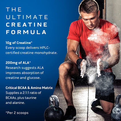 MuscleTech Creatine Monohydrate Powder Cell-Tech Creatine Powder & n Powder Nitro - Maple Wellness Supplements