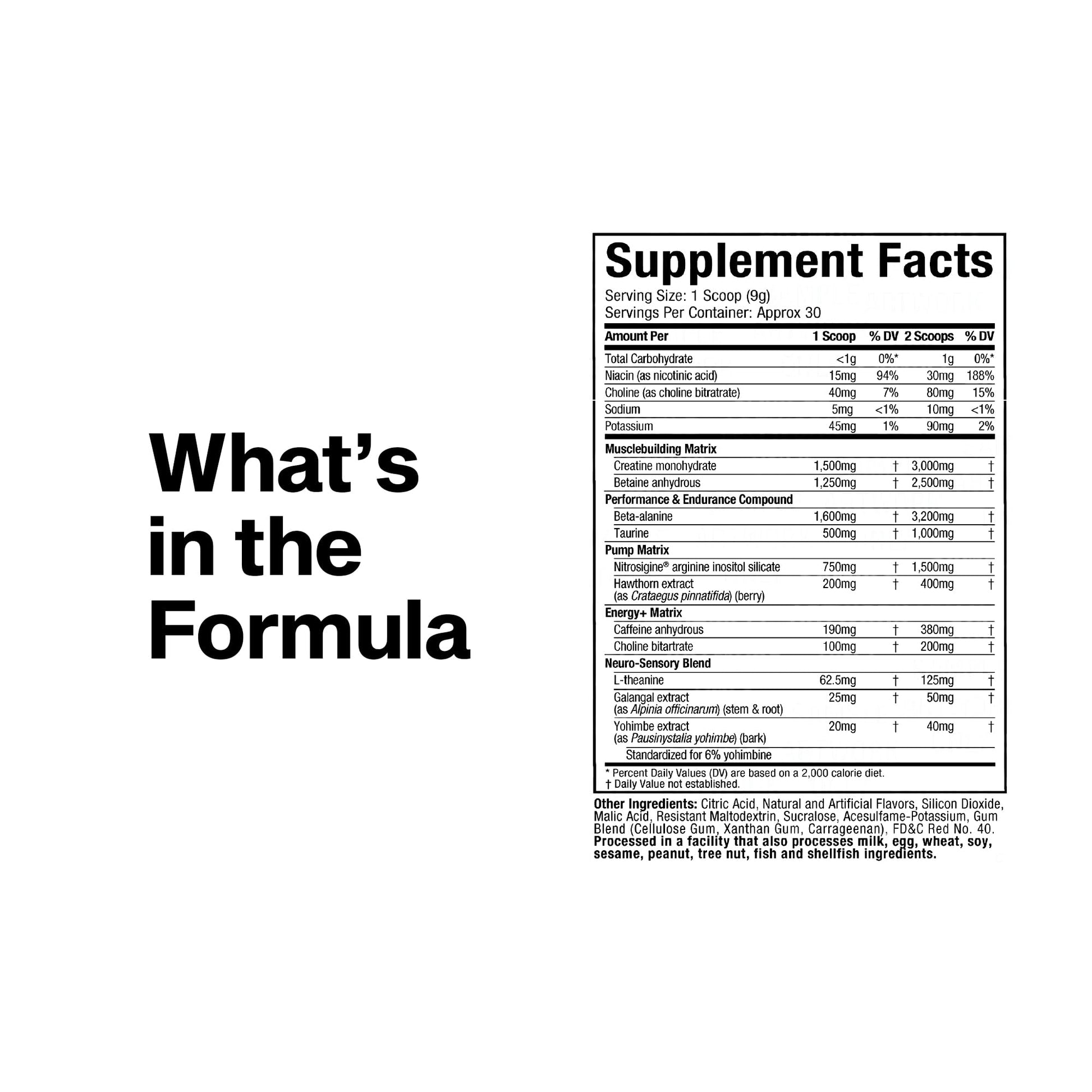 MuscleTech Pre-Workout Powder, Vapor X5 - Sports Nutrition Muscle Building Supplements for Women & Men - Intense Muscle Pump Energy Powder Drink Mix - Maple Wellness Supplements