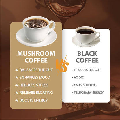 Mushroom Coffee, Instant Mushroom Coffee with Cordyceps, Reishi, King Trumpet, Shiitake, Turkey Tail, Lions Mane for Energy - Maple Wellness Supplements