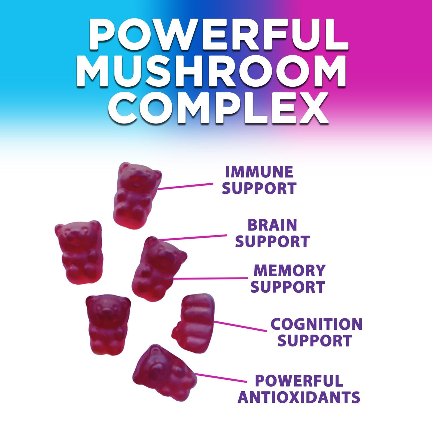 Mushroom Gummies Supplement 12 in 1 - High Grade Blend for Adults with Lions Mane, Reishi, Cordyceps, & Chaga Mushroom Complex Gummy, Memory & Immune Support & Nootropic Brain Supplements - 60 Gummies - Maple Wellness Supplements