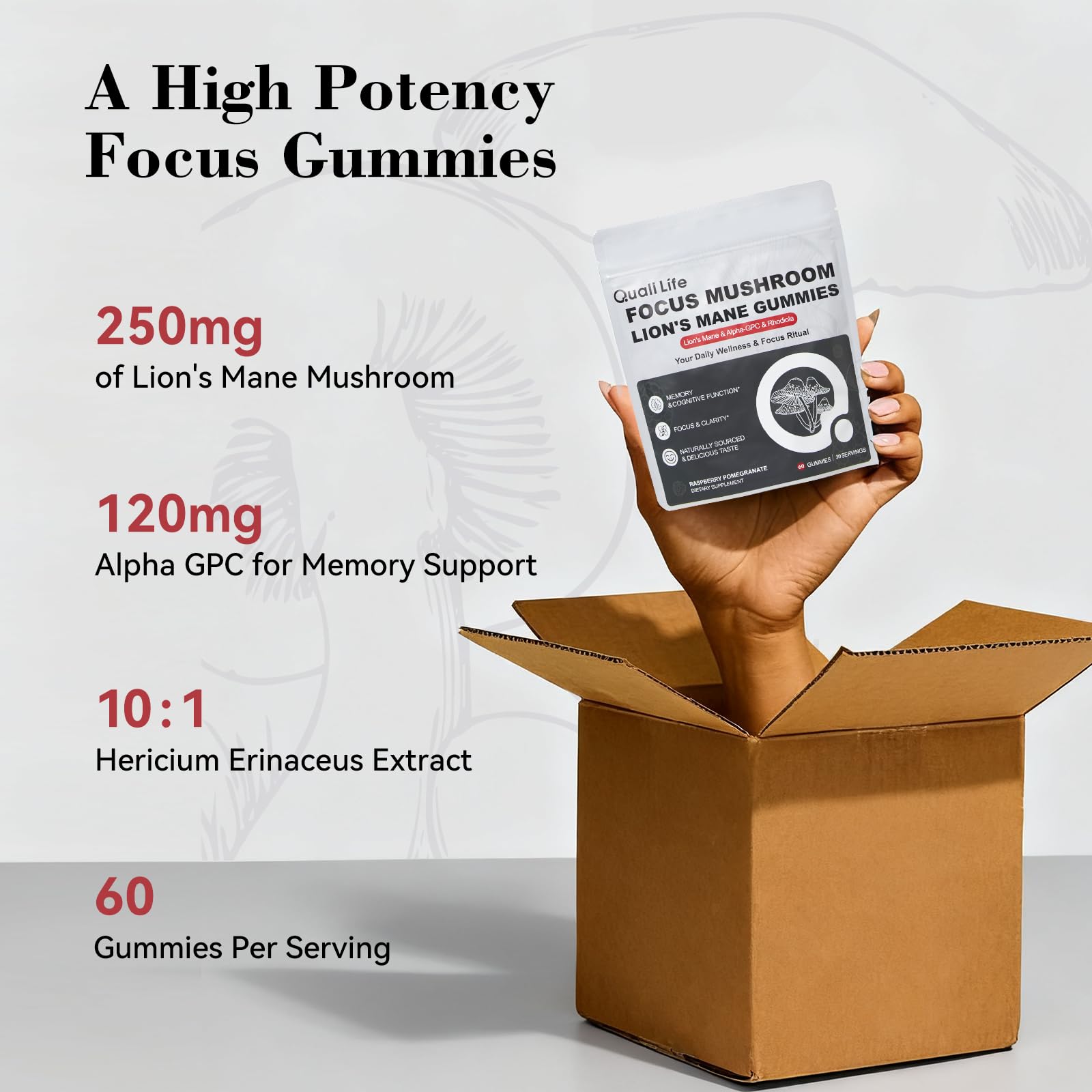 Mushroom Gummies with Lion’s Mane - Alpha Brain Gummy for Focus & Memory - Nootropic Focus Gummies with Rhodiola & Alpha-GPC – Vegan Brain Supplement, Raspberry Pomegranate Flavor, 60 Count (1) - Maple Wellness Supplements