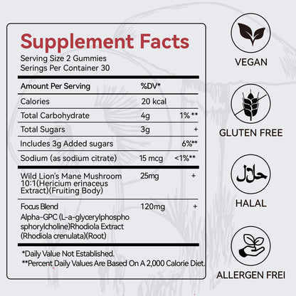 Mushroom Gummies with Lion’s Mane - Alpha Brain Gummy for Focus & Memory - Nootropic Focus Gummies with Rhodiola & Alpha-GPC – Vegan Brain Supplement, Raspberry Pomegranate Flavor, 60 Count (1) - Maple Wellness Supplements