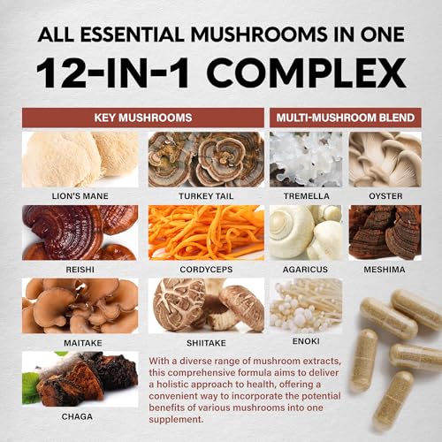 Mushroom Supplement - Organic Lion's Mane | Turkey Tail | Chaga | Cordyceps | Reishi - Maple Wellness Supplements