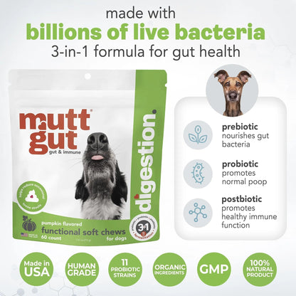 MuttGut® 3-in-1 Puppy & Dog Probiotics + Prebiotics + Postbiotics Chews - Promotes Digestive Health, Supports Immune System and Overall Health - Dog Diarrhea Relief & Immune Support - 60 Soft Chews - Maple Wellness Supplements