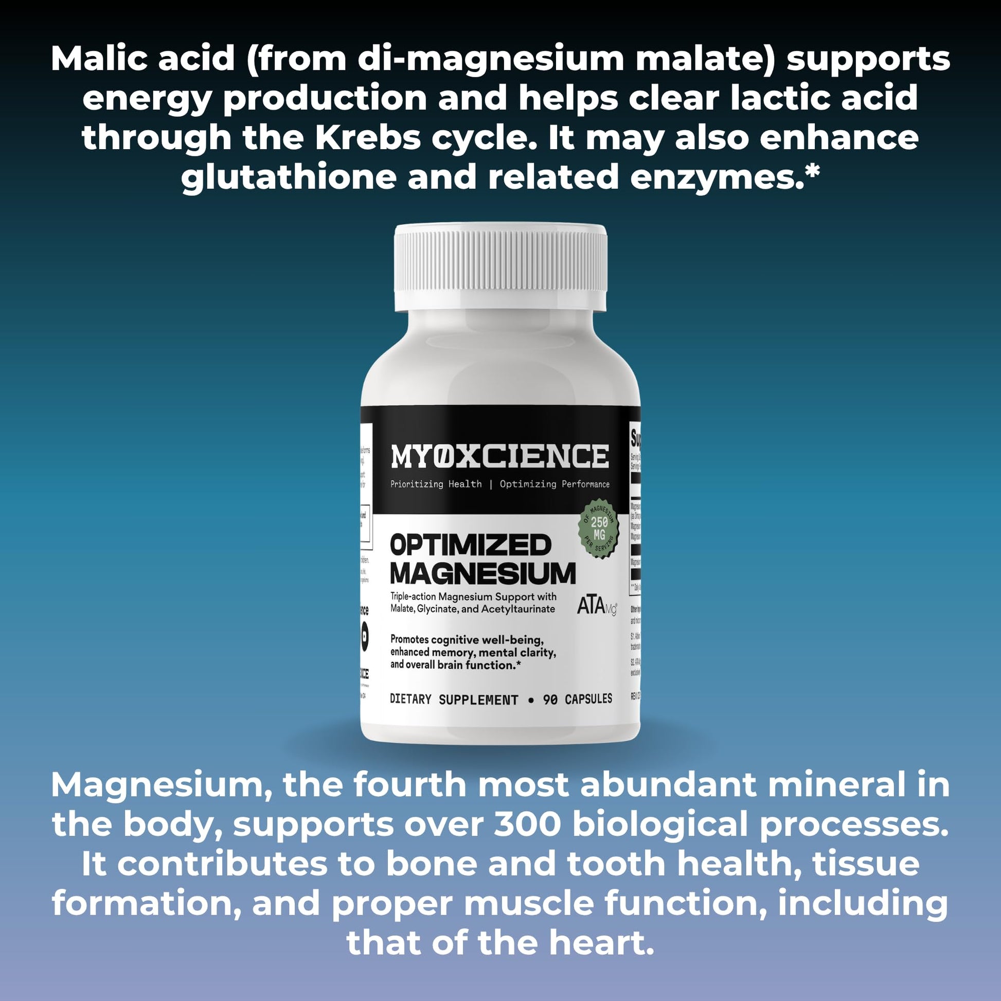 MYOXCIENCE Optimized Magnesium Glycinate + Magnesium Taurate (as ATAmag®) for High Brain Bioavailability to Support Stress Relief and Sleep | 30 Servings - Maple Wellness Supplements