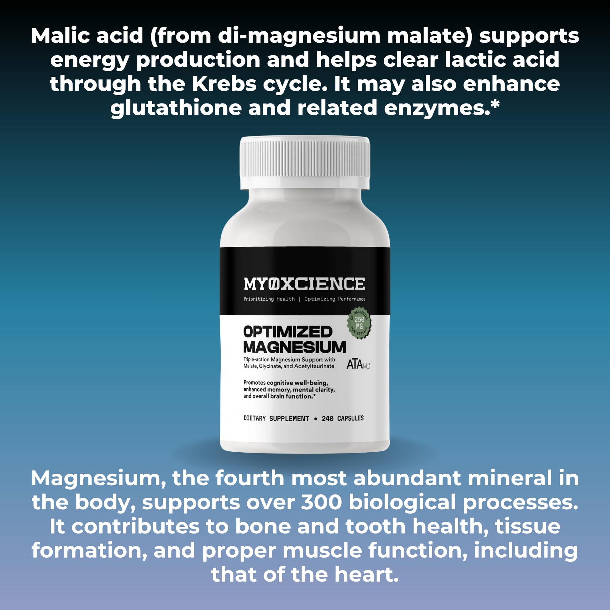 MYOXCIENCE Optimized Magnesium Glycinate + Magnesium Taurate (as ATAmag®) for High Brain Bioavailability to Support Stress Relief and Sleep | 80 Servings - Maple Wellness Supplements