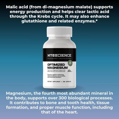 MYOXCIENCE Optimized Magnesium Glycinate + Magnesium Taurate (as ATAmag®) for High Brain Bioavailability to Support Stress Relief and Sleep | 80 Servings - Maple Wellness Supplements