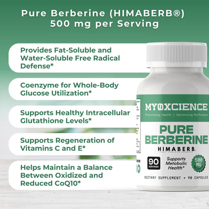 MYOXCIENCE Pure Berberine Himaberb | 500 mg of Berberine HCl per Serving | 90 Servings - Maple Wellness Supplements