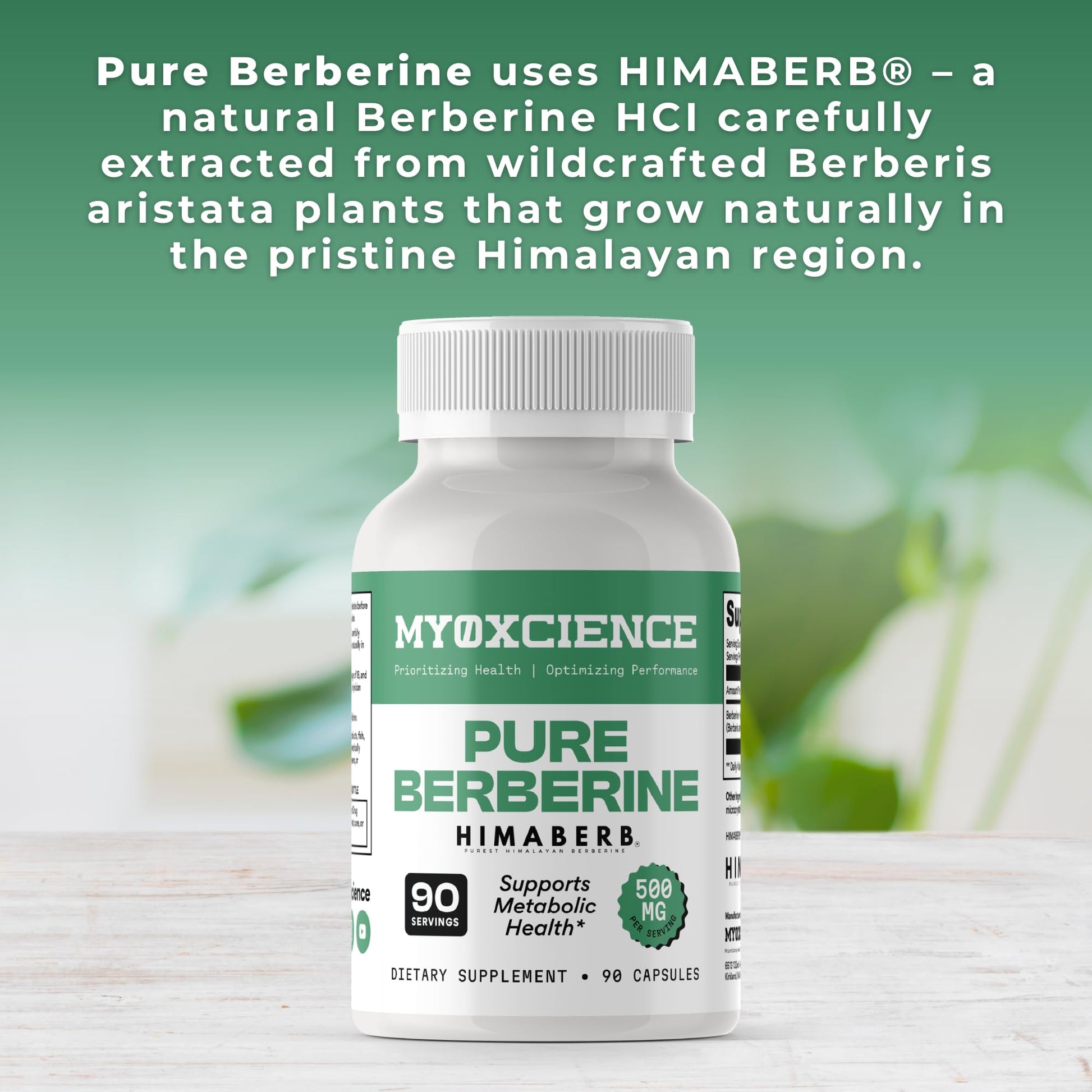 MYOXCIENCE Pure Berberine Himaberb | 500 mg of Berberine HCl per Serving | 90 Servings - Maple Wellness Supplements