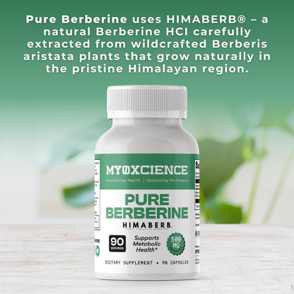 MYOXCIENCE Pure Berberine Himaberb | 500 mg of Berberine HCl per Serving | 90 Servings - Maple Wellness Supplements