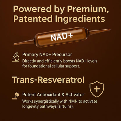 NAD Advanced Cellular Renewal - 1200mg NAD Supplement for Skin Aging Support Energy & Focus - 10 Vials (1) - Maple Wellness Supplements