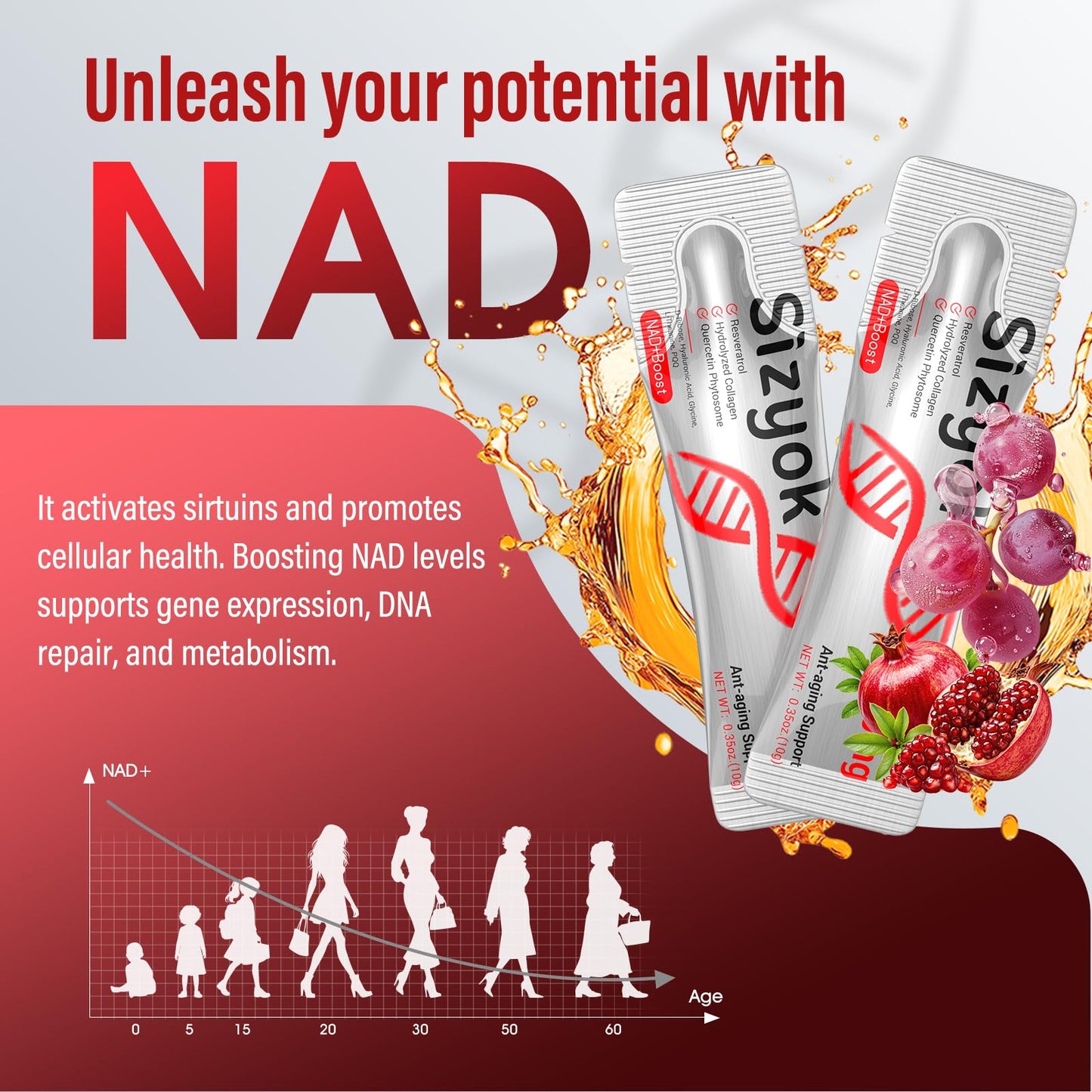 NAD+ Supplement 1000mg Liquid - High Absorption NAD+ with Trans Resveratrol 2000mg, Collagen & Hyaluronic Acid, Anti-Aging Energy Support for Women, Cellular Health & Longevity Boost - Maple Wellness Supplements