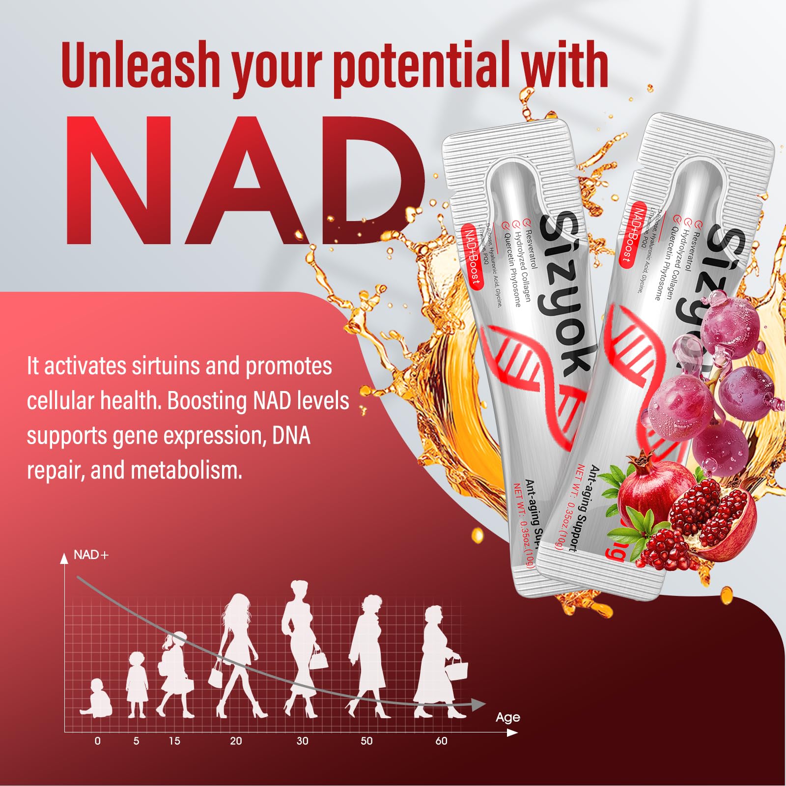 NAD+ Supplement 1000mg Liquid - High Absorption NAD+ with Trans Resveratrol 2000mg, Collagen & Hyaluronic Acid, Anti-Aging Energy Support for Women, Cellular Health & Longevity Boost - Maple Wellness Supplements