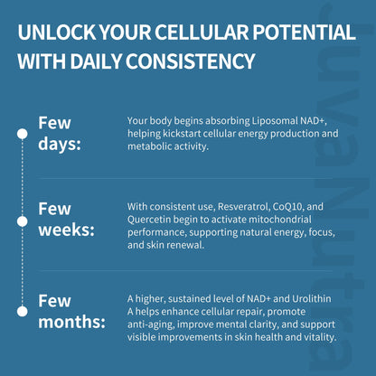 NAD Supplement 11-in-1 Extra Strength – Liposomal NAD with Resveratrol, CoQ10, Urolithin A, ALA & Turmeric – Supports Anti-Aging, Cellular Repair, Energy & Focus – for Women & Men – 60 Capsules - Maple Wellness Supplements