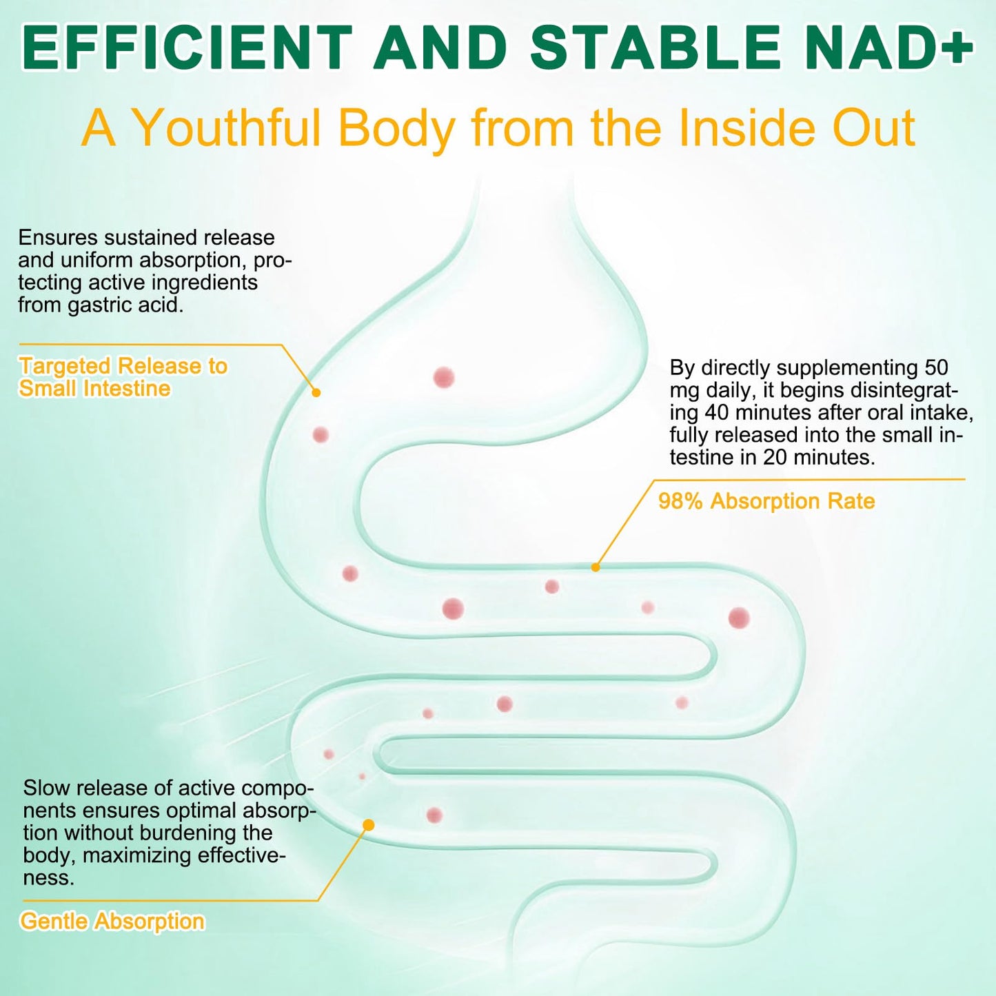 NAD Supplement 120 Capsules, Liposomal Nicotinamide Riboside, Resveratrol, Quercetin, NAD Nicotinamide Riboside Resveratrol 910mg for Women & Men, NAD Supplement for Anti Aging and Cell Regeneration - Maple Wellness Supplements