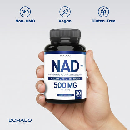 NAD Supplement (500mg of 95% Pure NAD+ Per Serving) NMN Supplement, NAD Nicotinamide Riboside Support (Third Party Tested, Vegan Safe, Non-GMO, No Fillers, & Made in the USA - 30 Vegan Capsules) - Maple Wellness Supplements